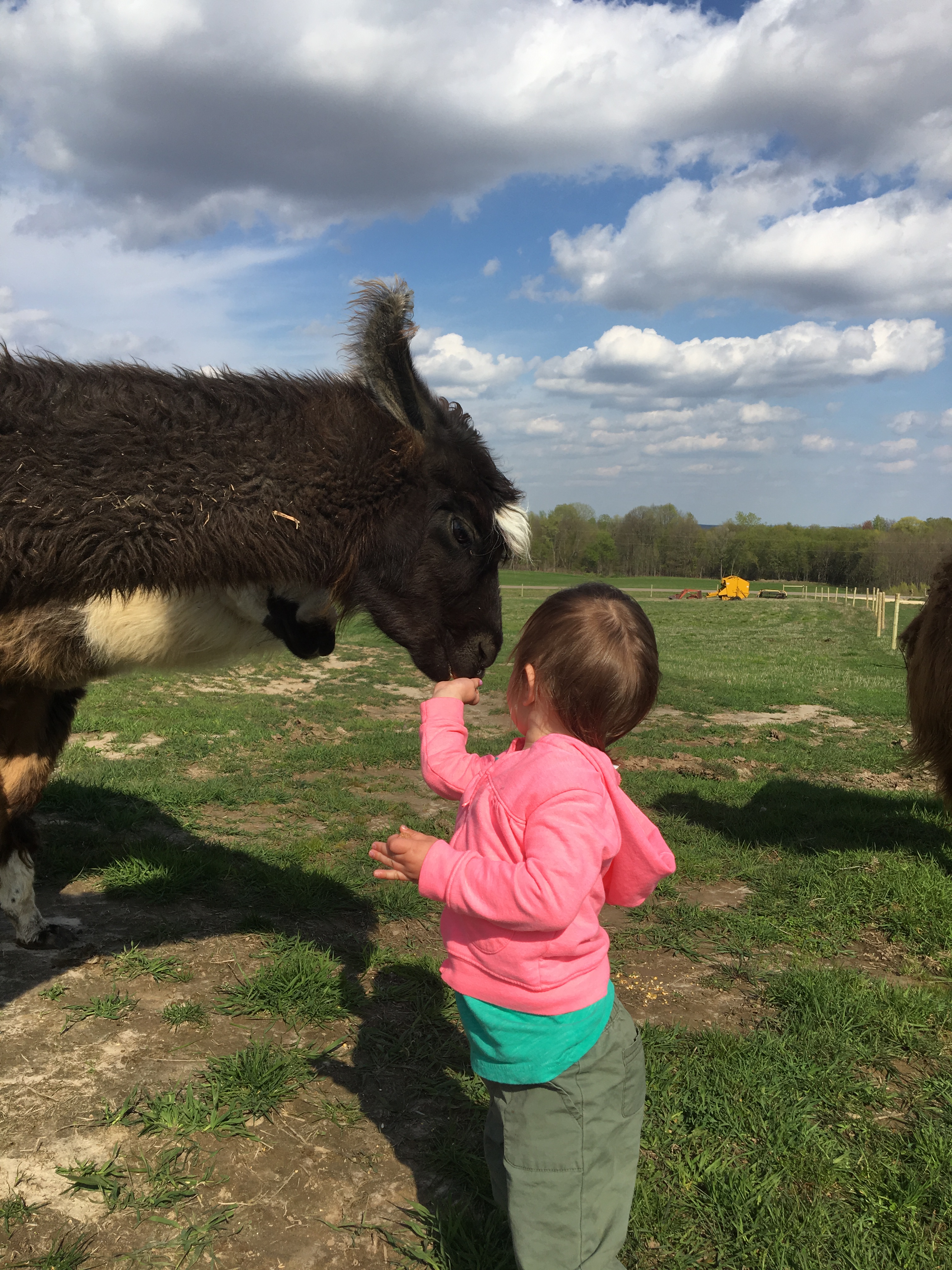 Standing Rock's Rather Be Streaking (f)
