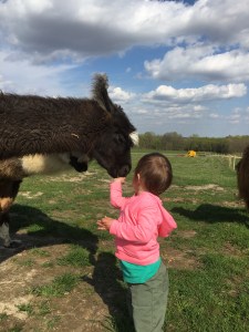 Standing Rock's Rather Be Streaking (f)