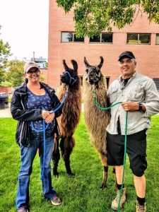 Standing Rock's Mantador (g) & Standing Rock's Monochrome (m)