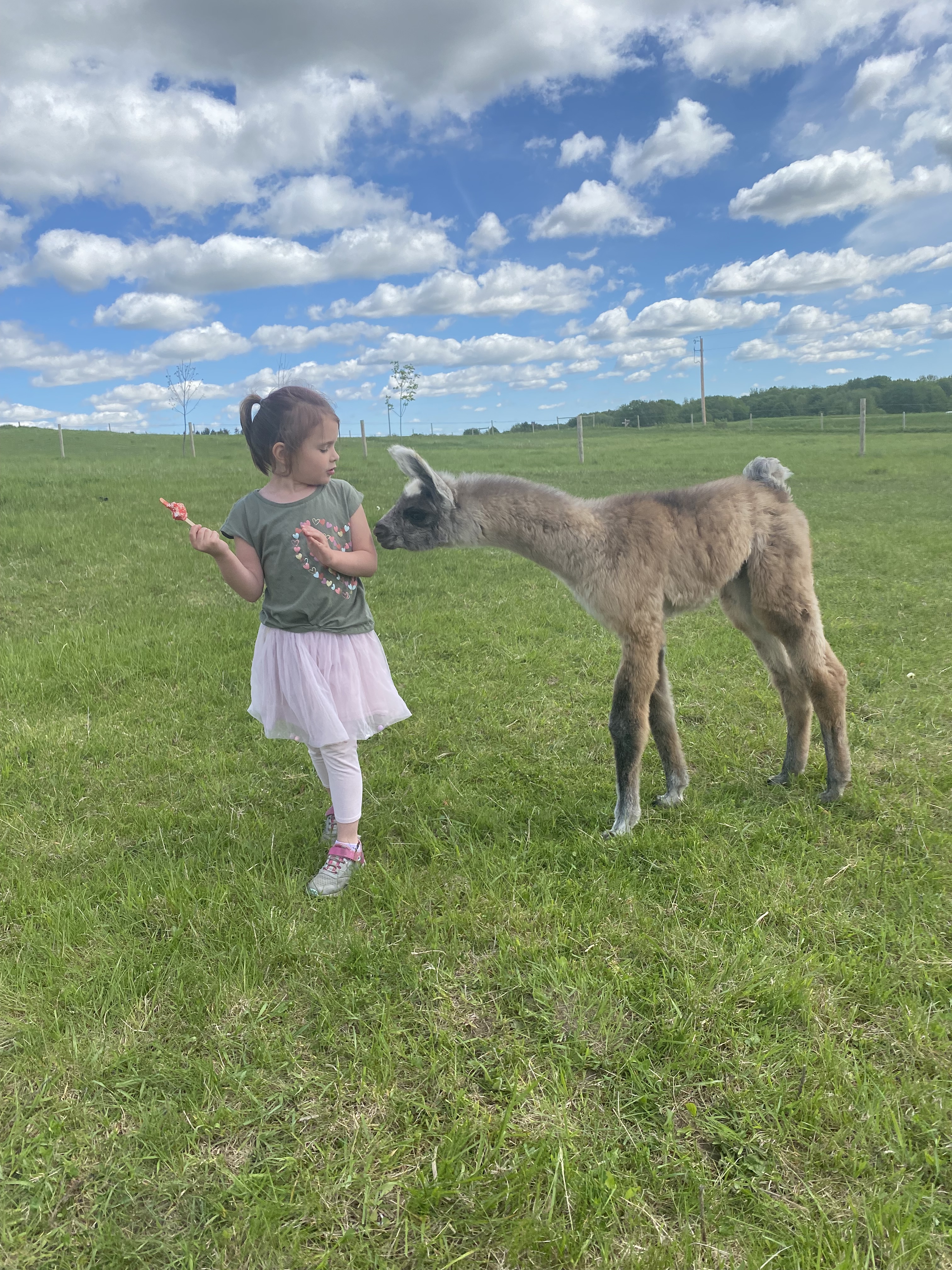 Standing Rock's When In Chrome (m)